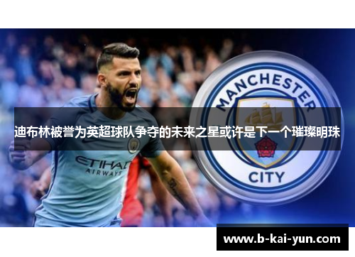 迪布林被誉为英超球队争夺的未来之星或许是下一个璀璨明珠