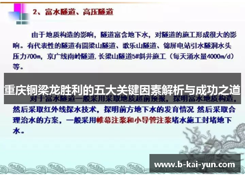 重庆铜梁龙胜利的五大关键因素解析与成功之道